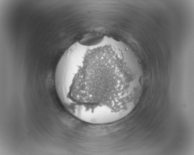 X0000068280029200605121924