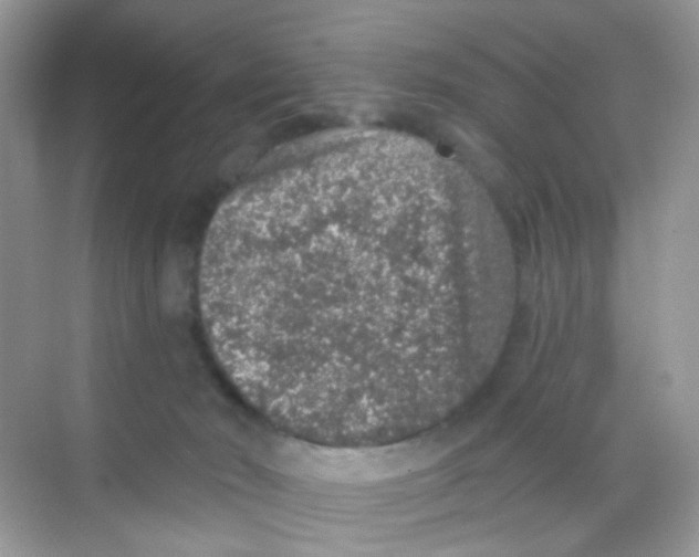 X0000068280030200605121923