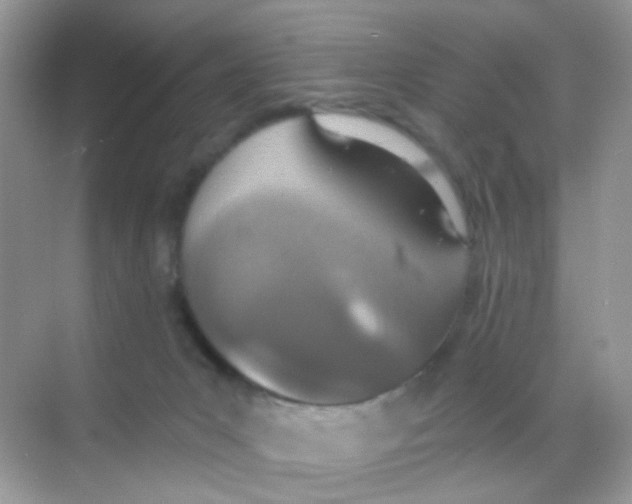 X0000068280031200605121923