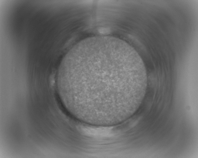 X0000068280032200605121923