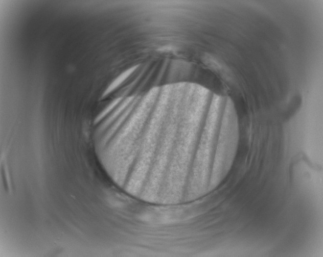 X0000068280033200605121923