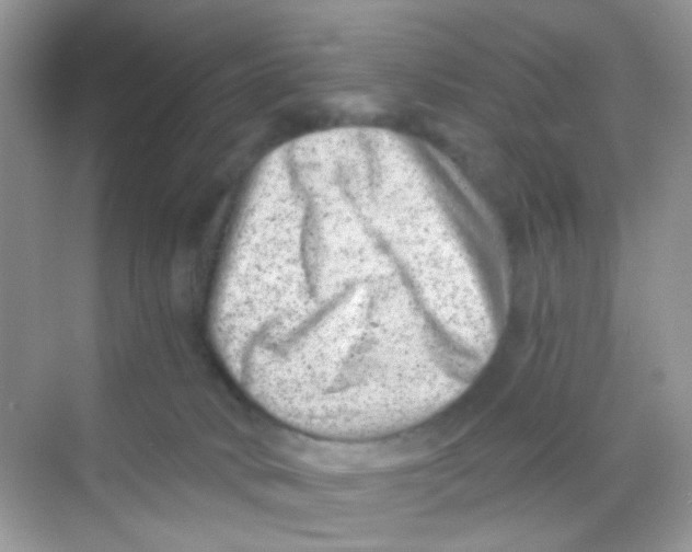 X0000068280034200605121923