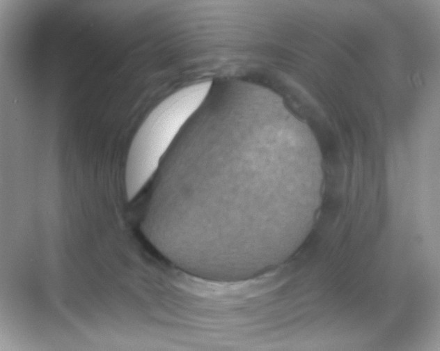 X0000068280035200605121923