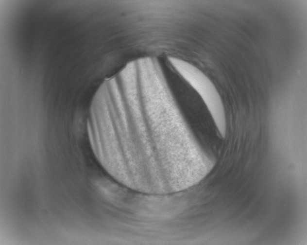 X0000068280037200605121923