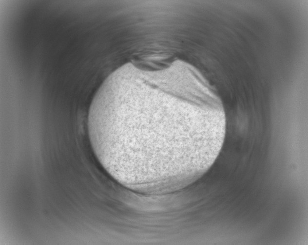 X0000068280038200605121923