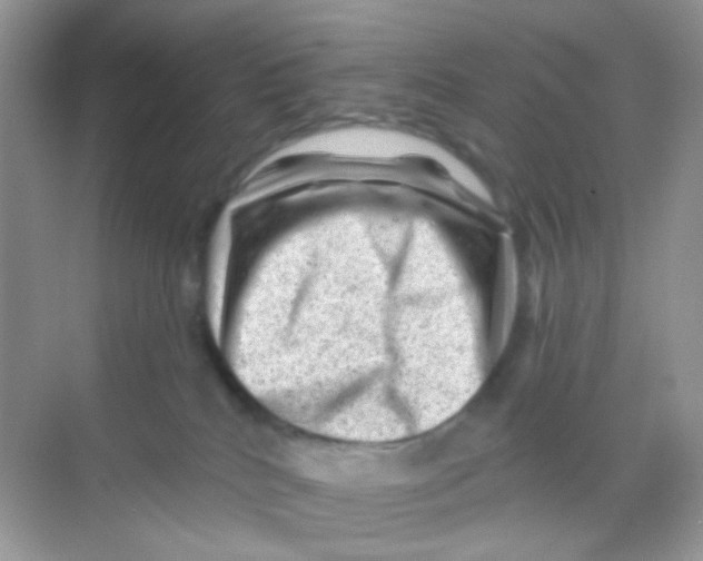 X0000068280040200605121923