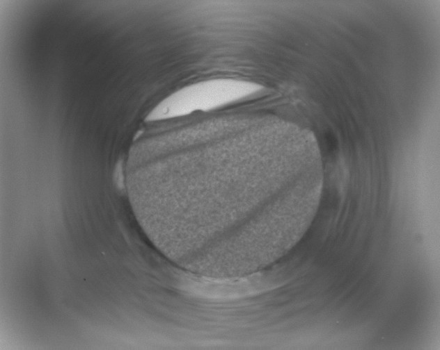 X0000068280042200605121923