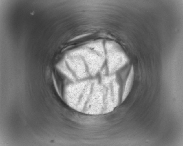 X0000068280044200605121923