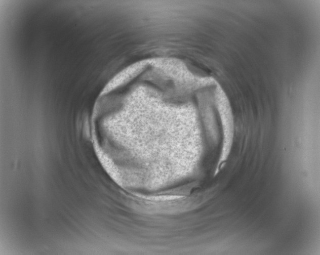 X0000068280046200605121923