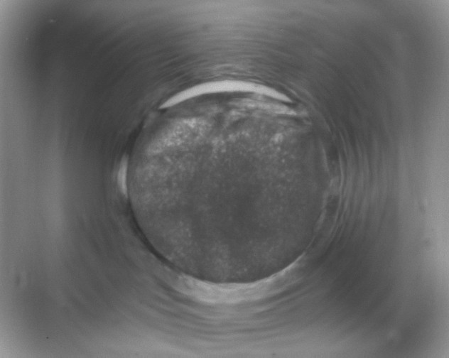 X0000068280047200605121923