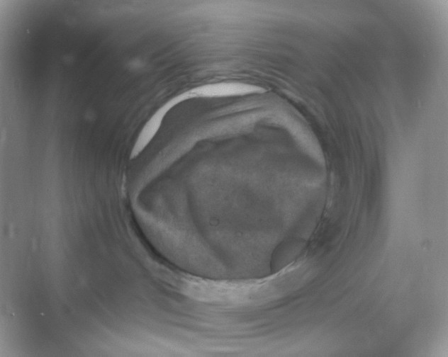 X0000068280048200605121923