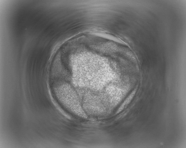 X0000068280049200605121922