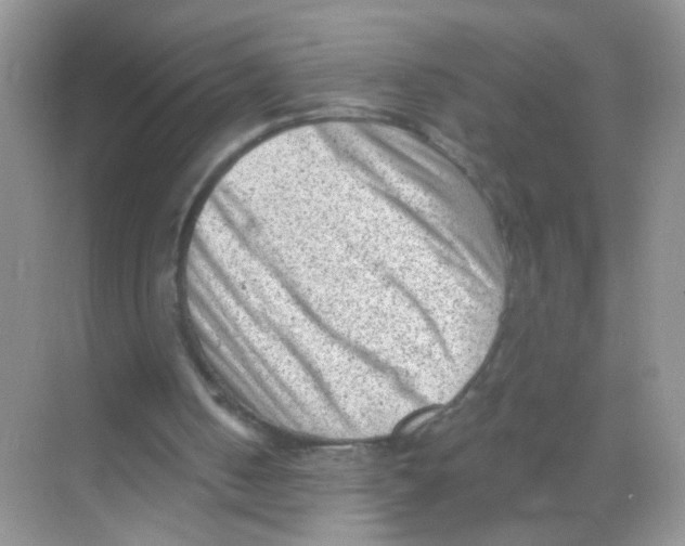 X0000068280050200605121922