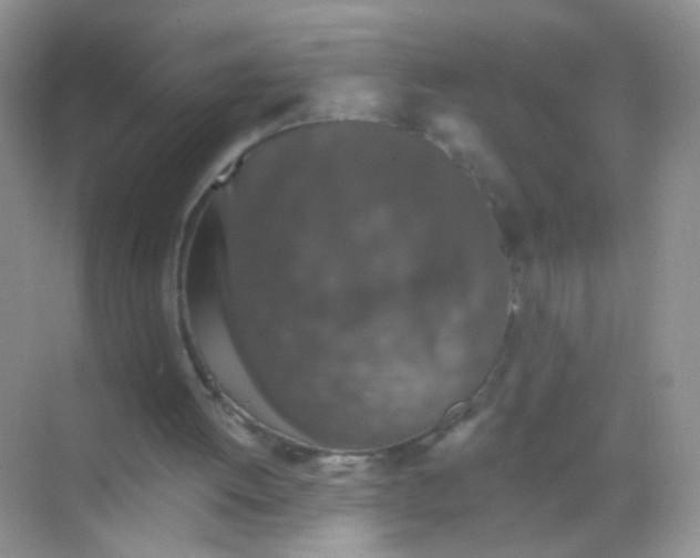 X0000068280052200605121922