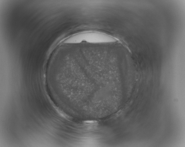 X0000068280053200605121922