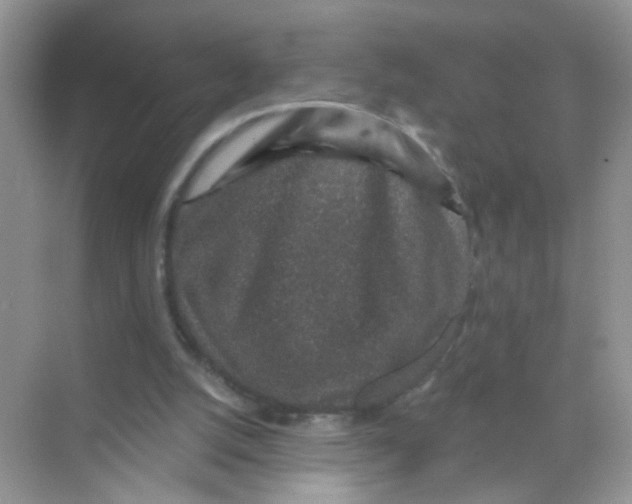 X0000068280056200605121923