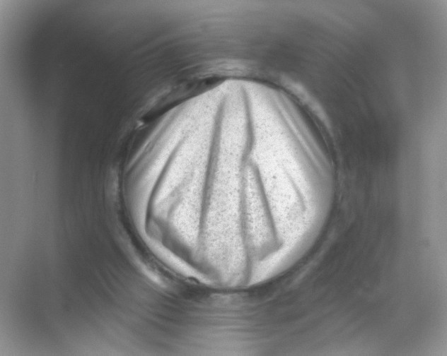 X0000068280057200605121923