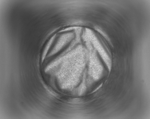 X0000068280058200605121923