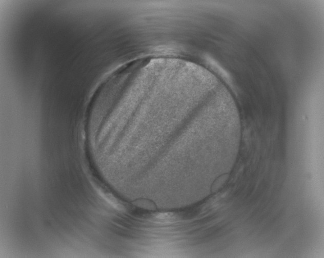 X0000068280059200605121923