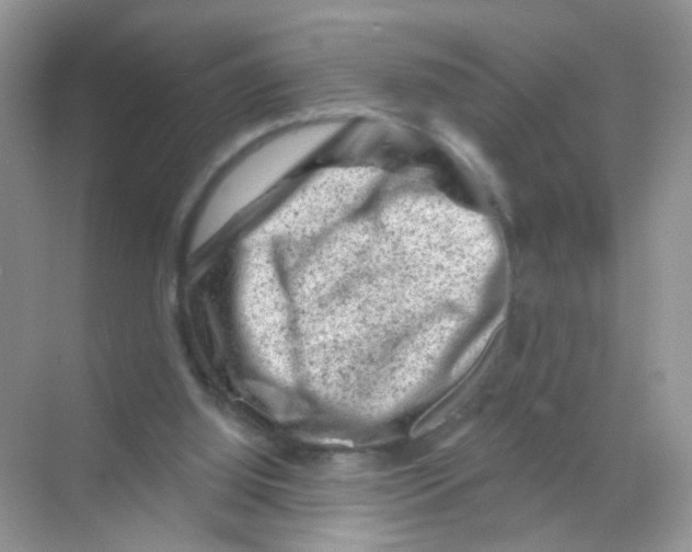 X0000068280060200605121923