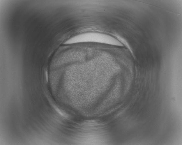 X0000068280061200605121923