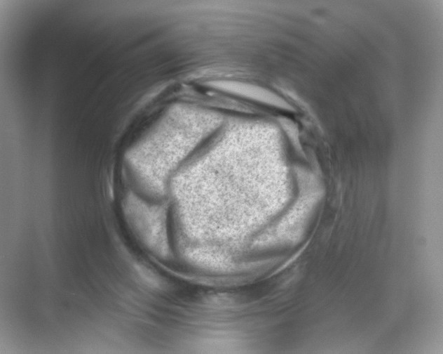 X0000068280062200605121923