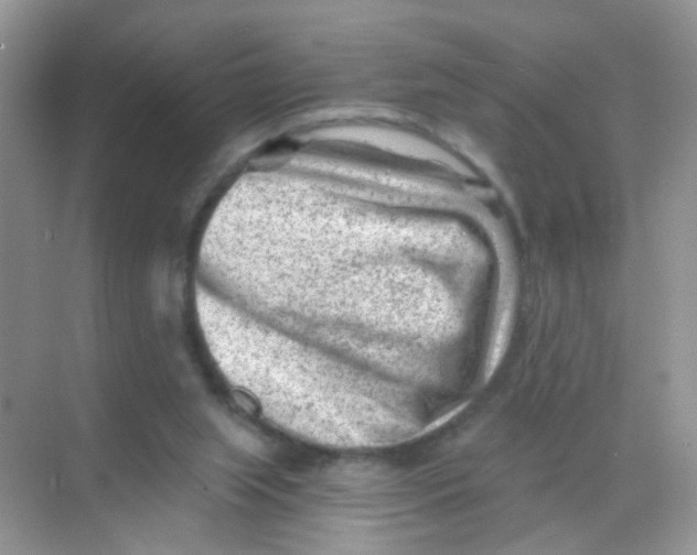 X0000068280063200605121923