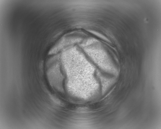 X0000068280066200605121923