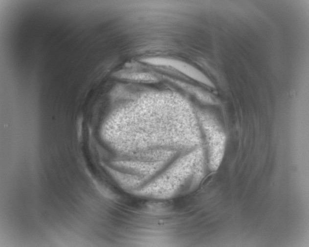 X0000068280070200605121923