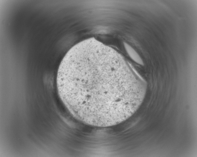 X0000068280072200605121923