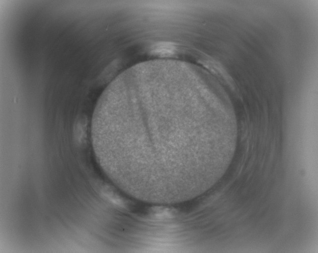 X0000068280073200605121923