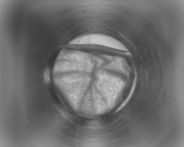 X0000068280075200605121923