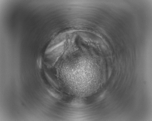 X0000068280076200605121923