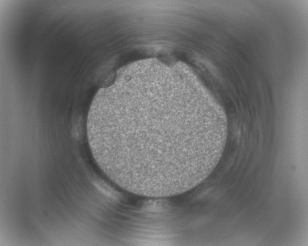 X0000068280077200605121923