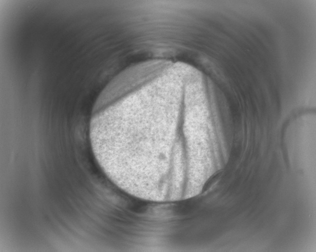 X0000068280078200605121923