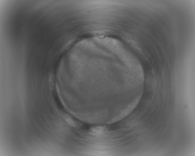 X0000068280079200605121923