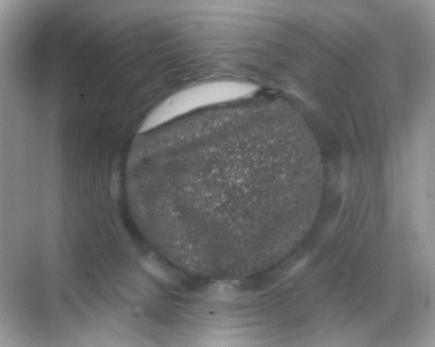 X0000068280080200605121923