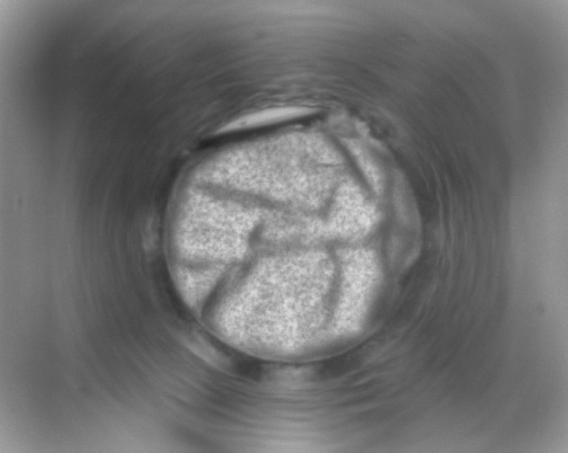 X0000068280081200605121923