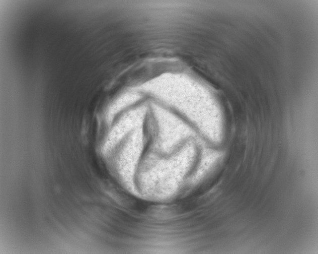 X0000068280082200605121923