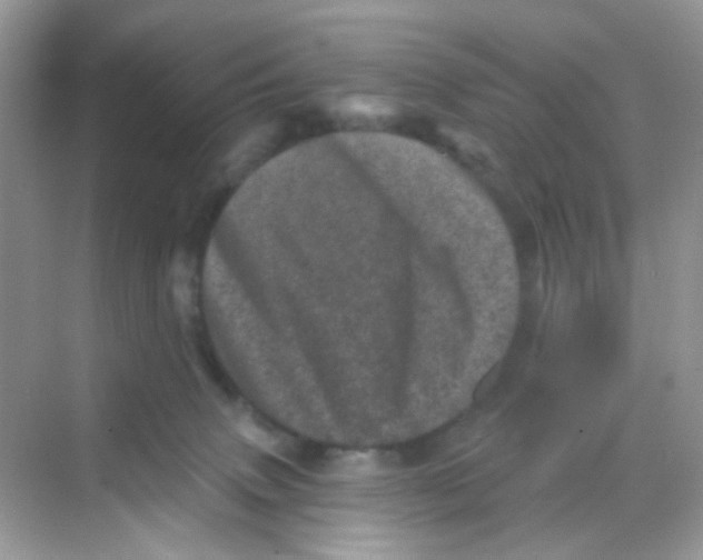 X0000068280083200605121923