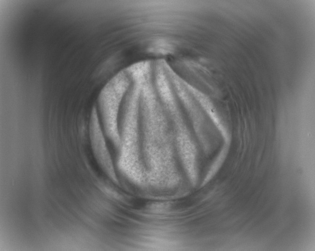 X0000068280084200605121923