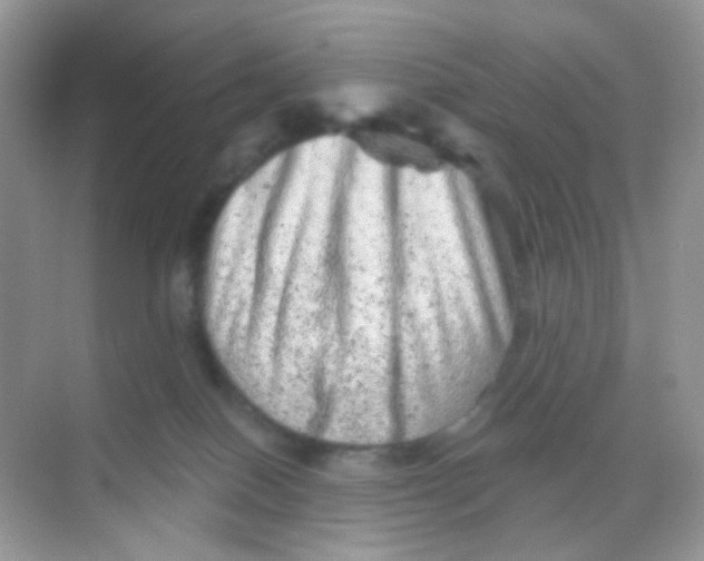 X0000068280086200605121923