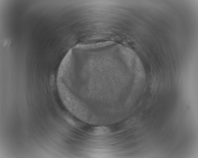 X0000068280087200605121923