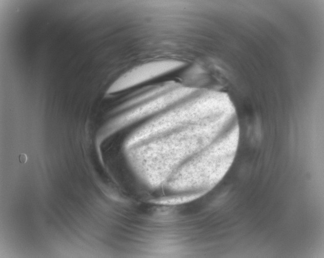 X0000068280088200605121923