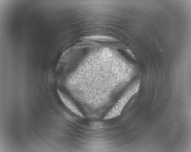 X0000068280091200605121923