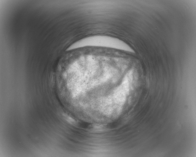 X0000068280093200605121923