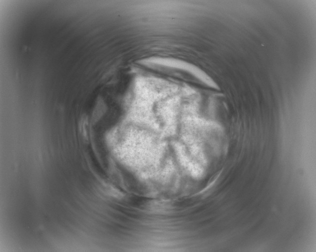 X0000068280094200605121923