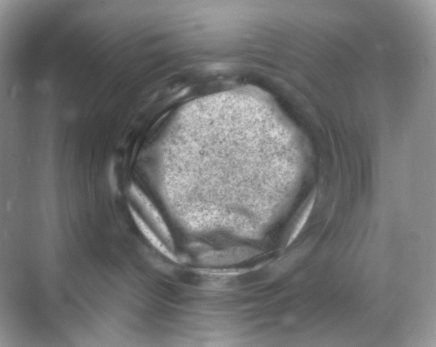 X0000068280096200605121923