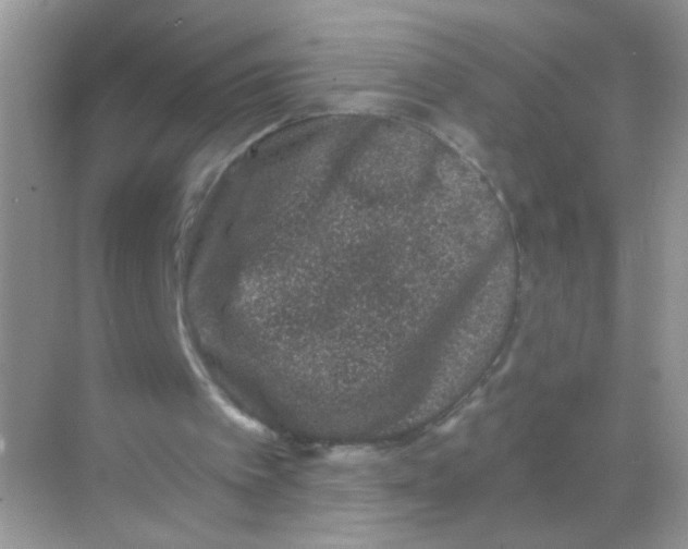 X0000068280097200605121922