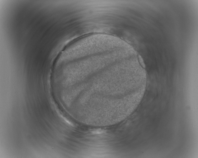 X0000068280098200605121922